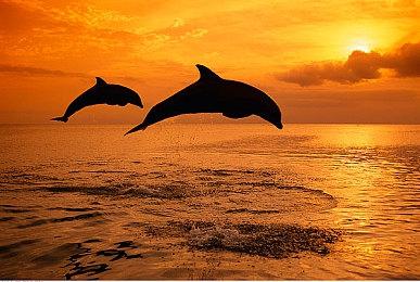 《微软飞行模拟2020》北欧世界更新今日上线