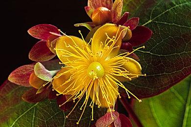 《验尸模拟器》发行日期延期  6月7日发售